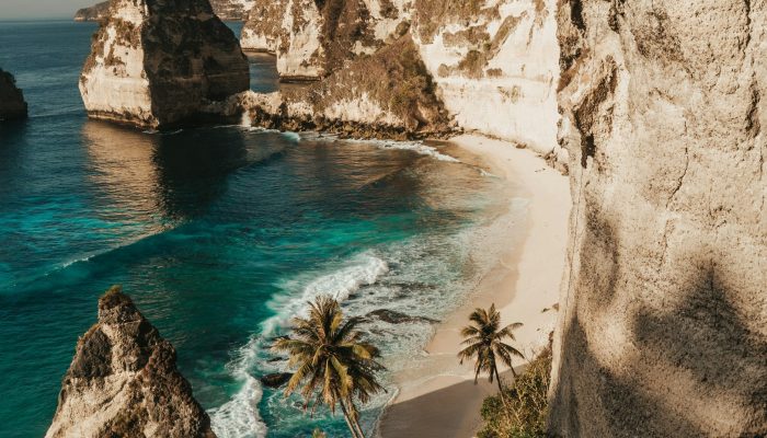 alexa-west-OOTEpsO2eV0-unsplash alexa-west-OOTEpsO2eV0-unsplash