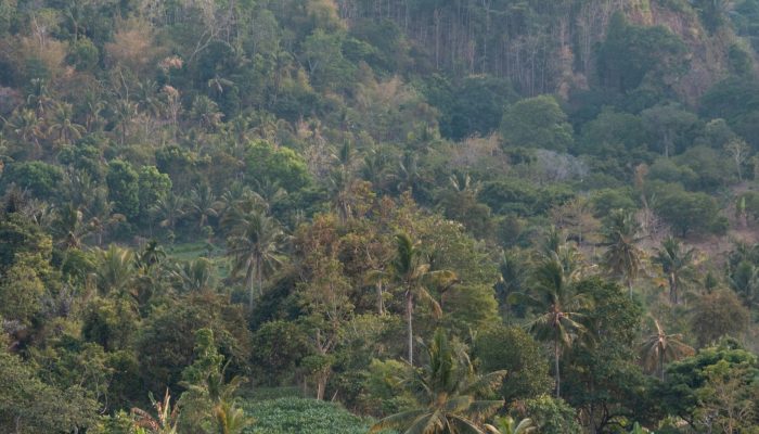 sebastien-goldberg-nuXN6x3GG3o-unsplash sebastien-goldberg-nuXN6x3GG3o-unsplash